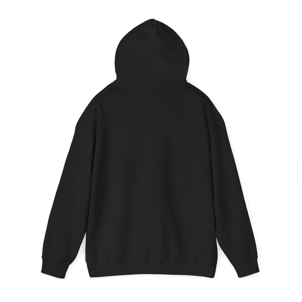 Cherry Bow Hoodie — Americana Cherry Graphic Sweatshirt